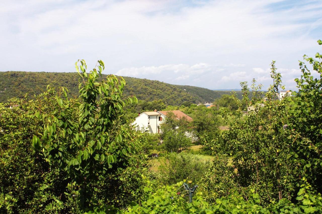 Apartments With A Parking Space Kampor, Rab - 5029 Екстер'єр фото